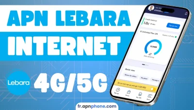 apn lebara